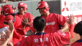 ▲林智勝代打砲轟豪勁（Bradin Hagens），生涯300轟出爐。（圖／味全龍提供）