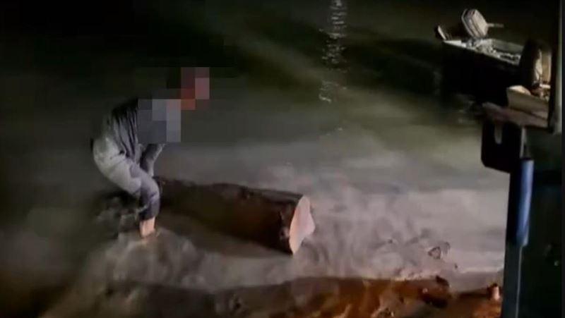 夜遊石門水庫當搬運工　車藏濕木露餡被逮