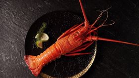 王品牛排,THE WANG,王品集團提供