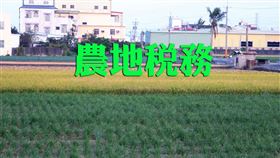 農地稅務！農地興建農舍為自住使用，可申請不課徵土地增值稅（圖／資料照）