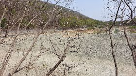 高雄旱象未解  半屏湖溼地乾涸見底