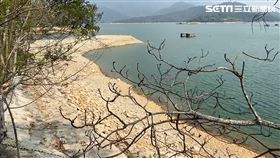 日月潭，乾旱，水上自行車道，草原，枯樹，蓄水量6成　(圖／翻攝畫面)