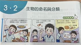 「馬鈴薯常被稱為土豆」？　國中生物課本挨轟：中國用語