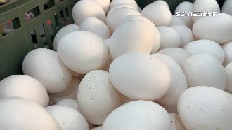 另類賣蛋所！五金行、水果行靠人脈批蛋