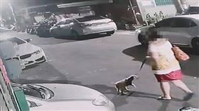 ▲宋姓女子缺錢花用，趁著清晨四下無人，藉遛狗當掩護找尋下手目標，在路旁一部轎車內得手15萬多元，開心吃喝玩樂後返家，被警方逮個正著。（圖／翻攝照片）