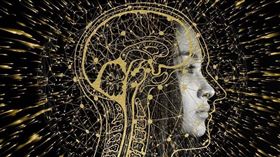 閱樂國際提供、翻攝自pixabay