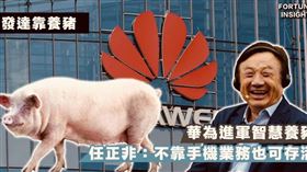 華為開始養豬（圖／翻攝矢板明夫臉書）