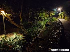 虎山步道/四獸山(記者陳弋攝影)