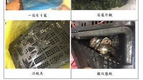 龍蝦案後馬祖再傳鮑魚走私　海巡署報請檢方偵辦，圖翻攝自李問臉書