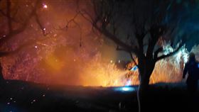 高雄,田寮,火警,雜草,延燒,消防隊,搶救（圖／翻攝畫面）