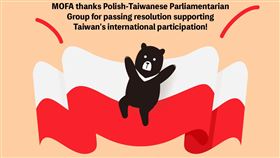挺台再一發，波蘭國會通過決議支持台灣國際參與！（圖／翻攝自外交部臉書）
