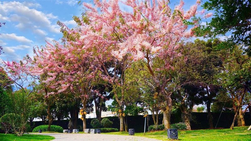 幫媽祖做環保有保庇！大甲媽祖遶境懶人包