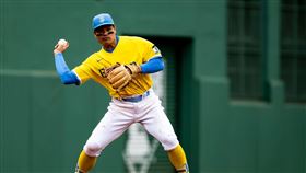 ▲張育成。（資料照／取自波士頓紅襪FB）