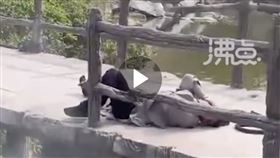 中國,演員,道具刀,鋼刀,休克,牙齒 微博