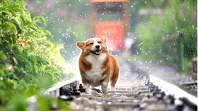 ▲春分這天下雨，能夠提醒大家注意氣候變化。（示意圖／Pixabay）