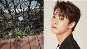 ▲ASTRO文彬。（圖／翻攝自文彬IG，推特）