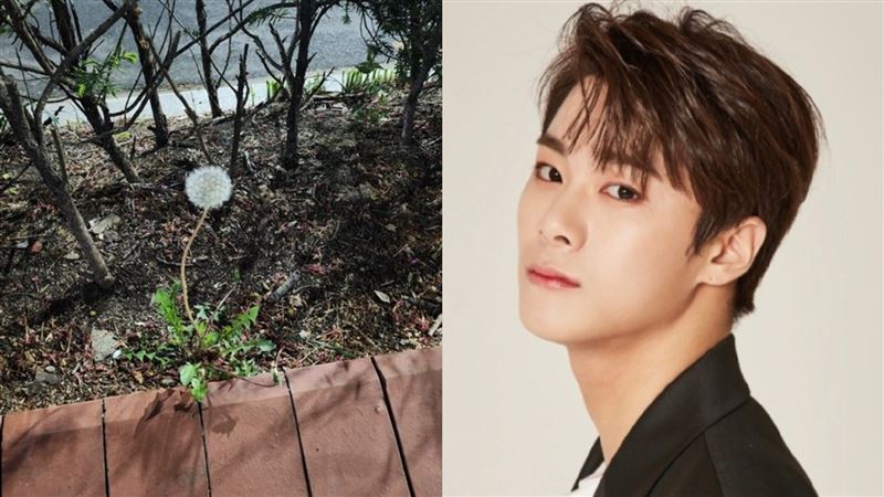 文彬生前最後發文曝　配文疑埋輕生伏筆