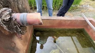 40年沒遇過！屏東海豐社區首度抽嘸地下水