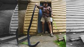 奧客，捕蛇人，捕捉1.8米毒蛇，拒絕付款，(圖／翻攝自Colin Shoemark臉書)