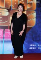 王自強、庹宗華、王滿嬌（滿嬌姨）、陸小芬、游安順、曾珮瑜、林秀玲、葉周權、蘇明明、鄧九雲、陳雪甄與非常多影人導演與製片等老師出席2023國片起飛 造勢記者會。（記者邱榮吉/攝影）