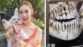 謝金晶遛狗跌倒，下顎骨裂恐怖傷勢曝光。（圖／翻攝自謝金晶IG）