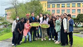 校內6株50年梅樹結果！東華外籍生樂採梅　釀出美味梅子醋。（圖／東華大學提供）