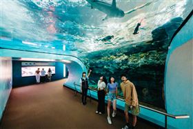  屏東海生館（業配勿用）