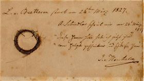 1827年以56歲之齡去世的貝多芬，一生飽受失聰、腸胃症、肝病等諸多健康問題困擾。過去，研究者們就曾試圖從貝多芬的遺髮裡找出遺傳物質，但一直未能成功。如今，藉著更先進的技術，科學家終於以他遺留下來的頭髮成功萃取DNA進行檢測，並將結果發表於《Current Biology》期刊。