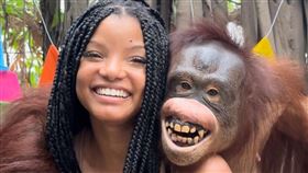 合照,真人版,猩猩,動物,泰國,Halle Bailey,荷莉貝莉,小美人（圖／翻攝自IG））