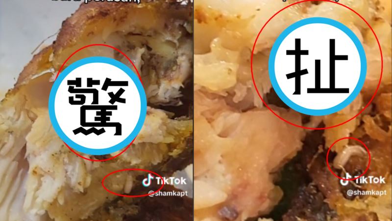 爽咬炸雞驚見肥蛆蠕動　鄰桌客一看秒崩潰