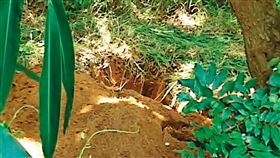 死因,法醫,冤靈,骨骸,男童,新竹市