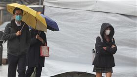 東北季風影響  北台灣濕涼（3）中央氣象局29日發布大雨特報，基隆市、新北市及宜蘭縣防大雨。圖為台北市中正區上午下起陣雨，街頭民眾撐傘或戴上帽子遮擋雨勢。中央社記者謝佳璋攝  111年12月29日
