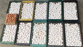 大甲媽，3200雞蛋，滷製，免費發送，珍貴(圖／翻攝畫面)