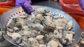 沙灘出現活體牡蠣「綿延3公里」民眾嗨撿免錢的！蚵農直擊好心碎，

牡蠣,蚵架,蚵農,蚵仔,台南,生蠔
