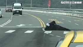 無臉男,金崙大橋。（圖／記者王浩原提供）