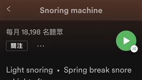 男友打呼太吵！她錄下放音樂串流平台 意外走紅開副業（圖／翻攝自Spotify）