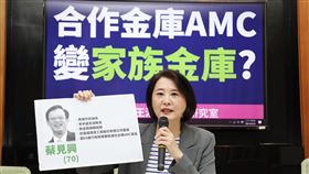 王鴻薇質疑蔡見興  公股金控子公司變成家族金庫國民黨立委王鴻薇（圖）24日在立法院舉行記者會，質疑前高雄市議會議長、現任合庫資產管理公司（AMC）董事長蔡見興寄生公營事業，公股金控子公司變成「家族金庫」；呼籲金管會和合庫必須介入調查。中央社記者張新偉攝  112年4月24日