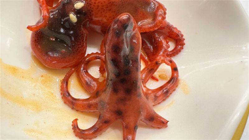 上海爭鮮驚現劇毒章魚？供應商：是正常的