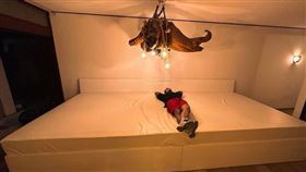 巴西男爽擁6辣妻！厭倦分房砸300萬買大床（圖／翻攝自IG）