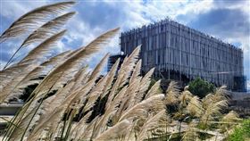 自4/15起，開放新美館第一期戶外園區、圓頂藝術空間。（圖／翻攝自新北市美術館粉專）