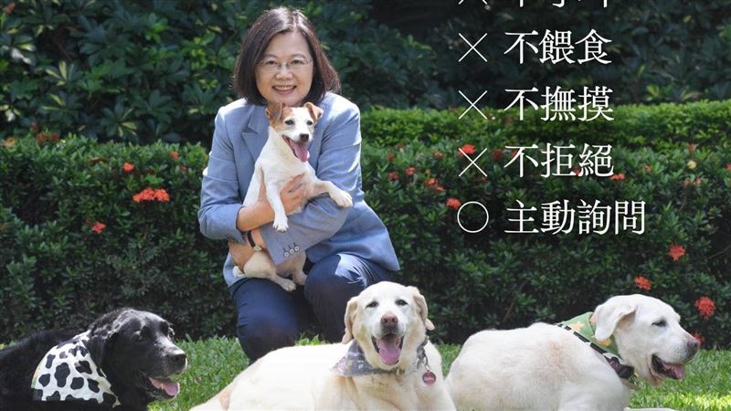 國際導盲犬日　蔡英文曬家中汪星人