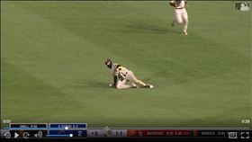 ▲小塔提斯（Fernando Tatis Jr.）滑接沒收鈴木誠也安打。（圖／翻攝自MLB官網）