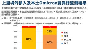 變異株監測結果。（圖／指揮中心提供）