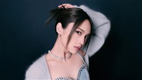 楊丞琳（圖／翻攝自楊丞琳臉書）