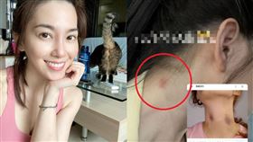 許藍方,小S,小姐不熙娣,王少偉,種草莓