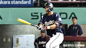 ▲中信兄弟三壘手黃韋盛。（圖／記者劉彥池攝影）