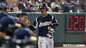 ▲中信兄弟游擊手江坤宇回本壘得分。（圖／記者劉彥池攝影）