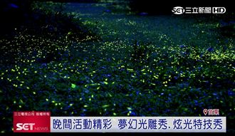 超夯親子景點 西湖園區豐富活動超精彩