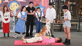 納豆(台視提供)