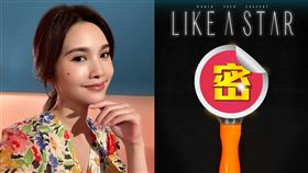 楊丞琳「絕美手燈」曝光！演唱會限定1功能搶先看　這天開放預購。（圖／翻攝自楊丞琳臉書／KKTIX官網）